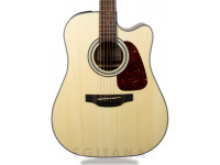 Takamine GD10CE-N Takamine GD10CE-N